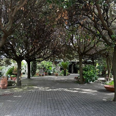 Appartamento Borgo De' Paolis Grottaferrata Esterno foto