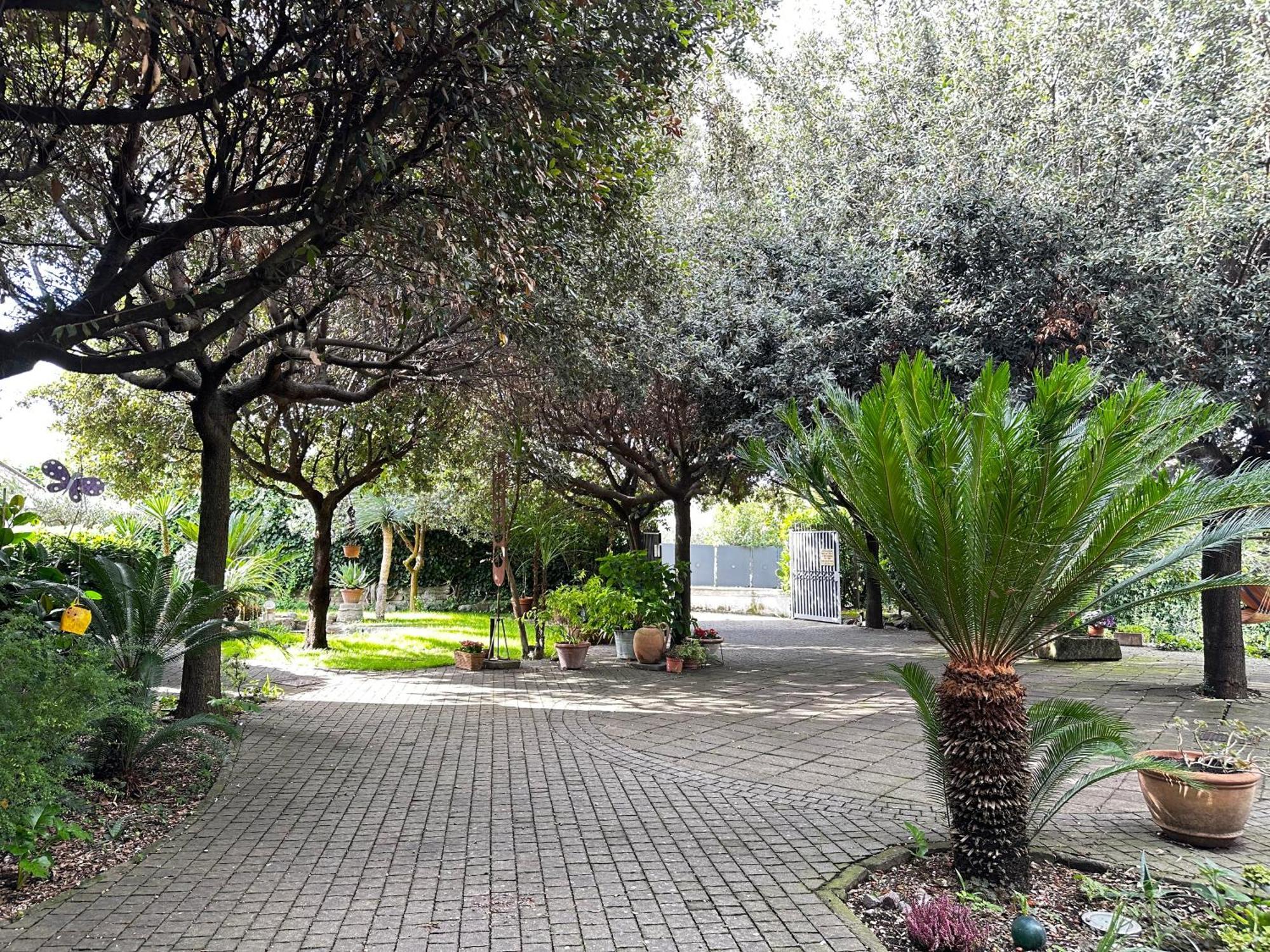 Appartamento Borgo De' Paolis Grottaferrata Esterno foto